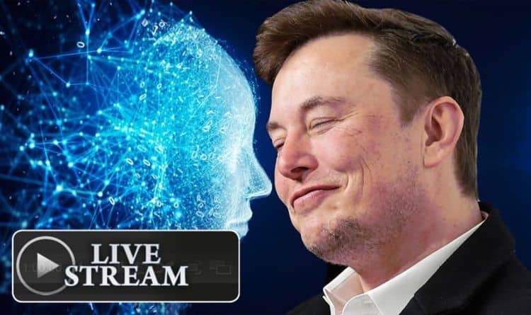 Elon Musk Livestream