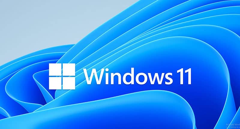 Windows 11 logo and background